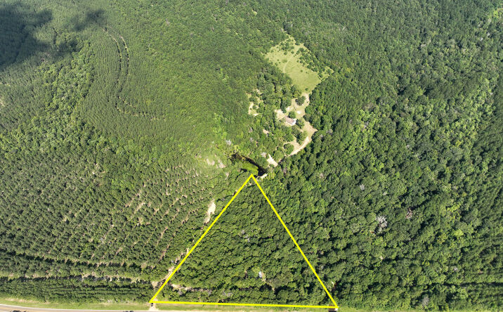 Pictures of Land property located at 1 FM 2939, Newton, TX 75966 for sales - image #1