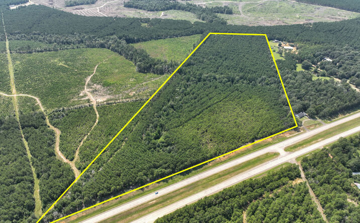 Pictures of Land property located at 1 Highway 96, Erin, TX 75951 for sales - image #1