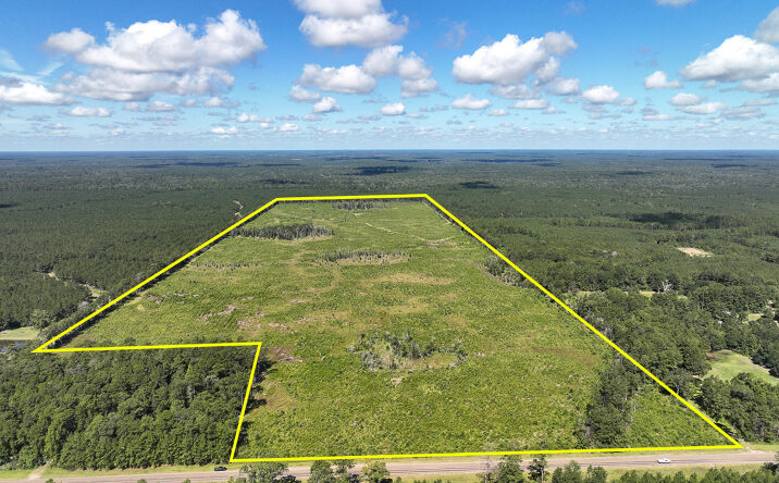 Pictures of Land property located at 1 FM 92, Spurger, TX 77660 for sales - image #1