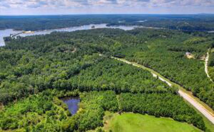 Pictures of Mixed Use property located at 1 E Hwy 220, Lincolnton, GA 30817 for sales - image #1
