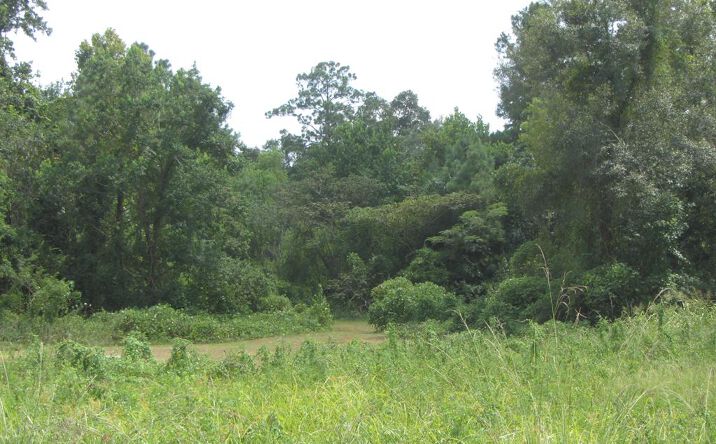 Pictures of Land, Multifamily property located at 0000 Carroll Street, Picayune, MS 39466 for sales - image #1