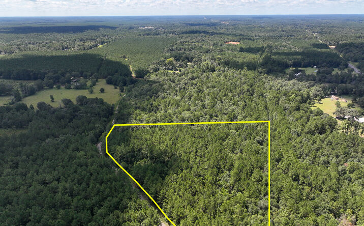 Pictures of Land property located at 2 CR 4470, Ivanhoe, TX 75979 for sales - image #1