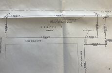 19726657