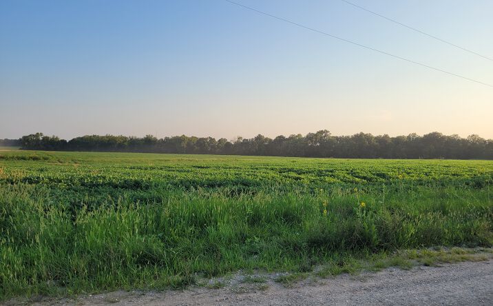 State Highway DD, Bellflower, MO 63333 | Crexi.com