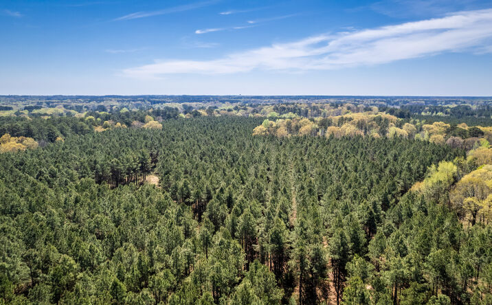 Pictures of Land property located at Highway 278, Monticello, AR 71655 for sales - image #1