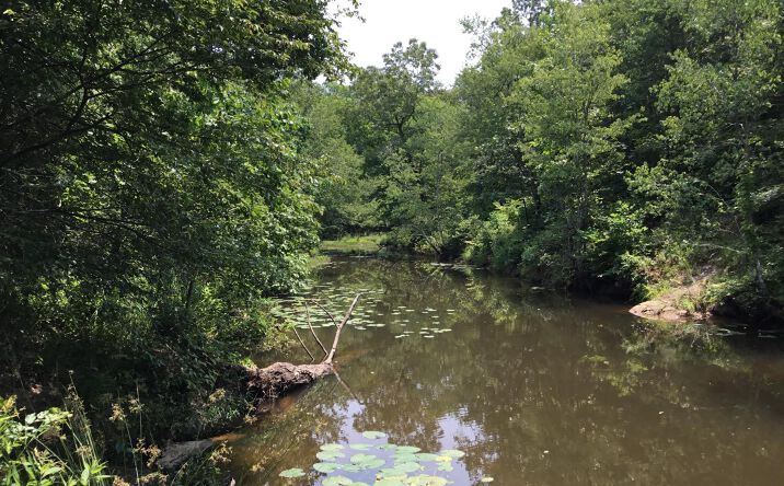 Pictures of Land property located at Highway 10, Bigelow, AR 72016 for sales - image #1