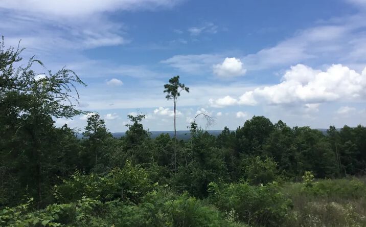 Pictures of Land property located at Thomas Rd, Booneville, AR 72927 for sales - image #1