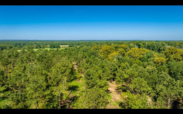 Pictures of Land property located at Gilmer Bridge Lots, Delight, AR 71958 for sales - image #1