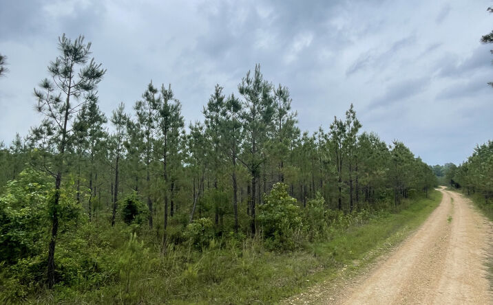 Pictures of Land property located at Riggans Trail, Malvern, AR 72104 for sales - image #1