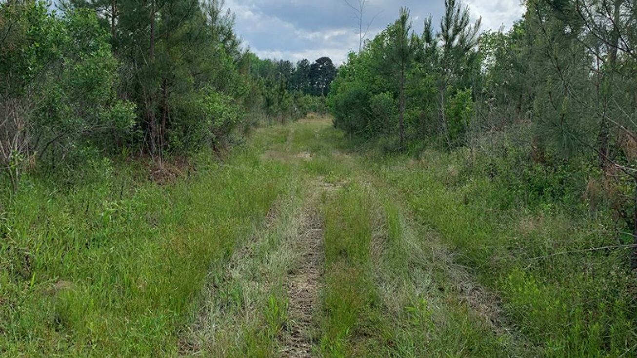 SW of Oldenburg Rd, Meadville, MS 39653