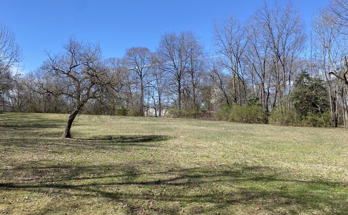 Pictures of Land property located at 2559 John Dodd Rd, Wellford, SC 29385 for sales - image #1