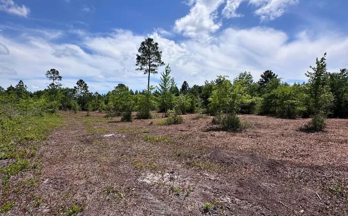 Pictures of Land property located at 0 Hwy 280, Pembroke, GA 31321 for sales - image #1