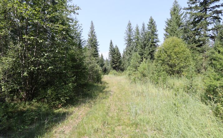 Pictures of Land property located at NHN Tract 1C E Fork Combest Creek Road, Plains, MT 59859 for sales - image #1