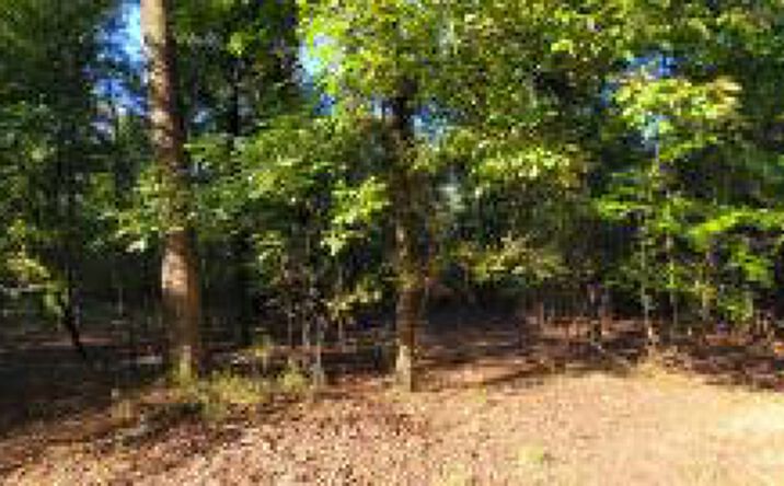Pictures of Land property located at Tbd 11 A Atomic Road, Beech Island, SC 29842 for sales - image #1