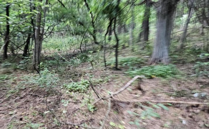 Pictures of Land property located at Mossy Creek Rd, Mount Solon, VA 22843 for sales - image #1