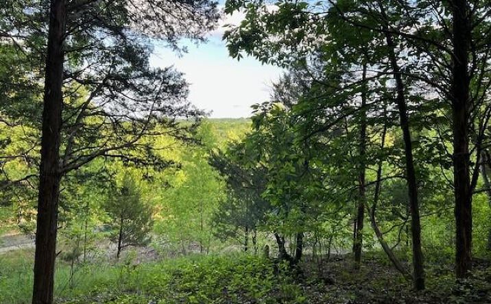 Pictures of Land property located at 179 Stonesthrow Drive, Wildwood, MO 63038 for sales - image #1