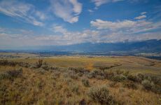 19749093