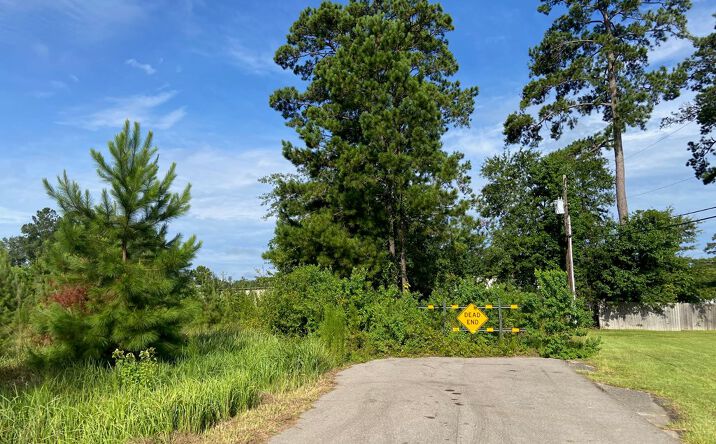 Pictures of Land property located at 00 Highway 11 North, Pearl River, MS 39466 for sales - image #1