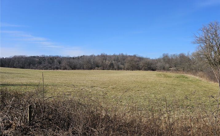 Lot 6 Ryan Road, Brutus, NY 13166 | Crexi.com
