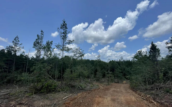 Pictures of Land property located at Greers Ferry 65, Clinton, AR 72031 for sales - image #1
