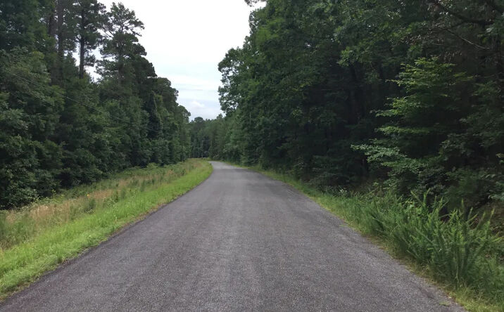 Pictures of Land property located at Dug Hill 104, Drasco, AR 72530 for sales - image #1