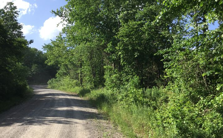 Pictures of Land property located at Highway 314, Plainview, AR 72857 for sales - image #1