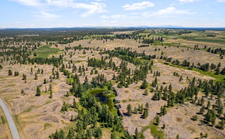 Pictures of Land property located at S Pine Springs Rd 27000 Block, Cheney, WA 99004 for sales - image #1