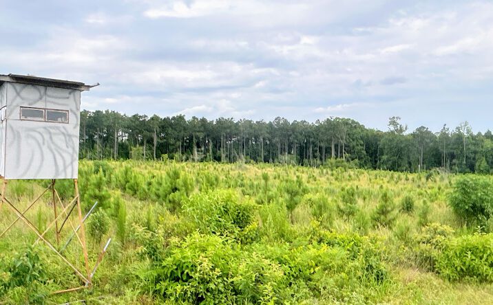 Pictures of Land property located at Highway 299, Prescott, AR 71857 for sales - image #1