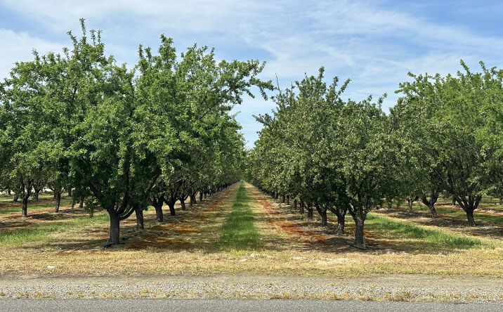 Pictures of Land property located at W Clarkson Ave, Caruthers, CA 93609 for sales - image #1