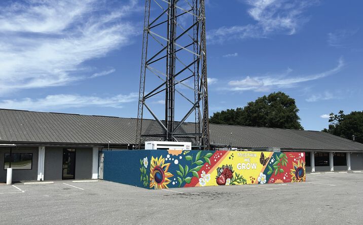 Pictures of Retail, Office, Mixed Use property located at 709 N Park Rd, Plant City, FL 33563 for sales - image #1