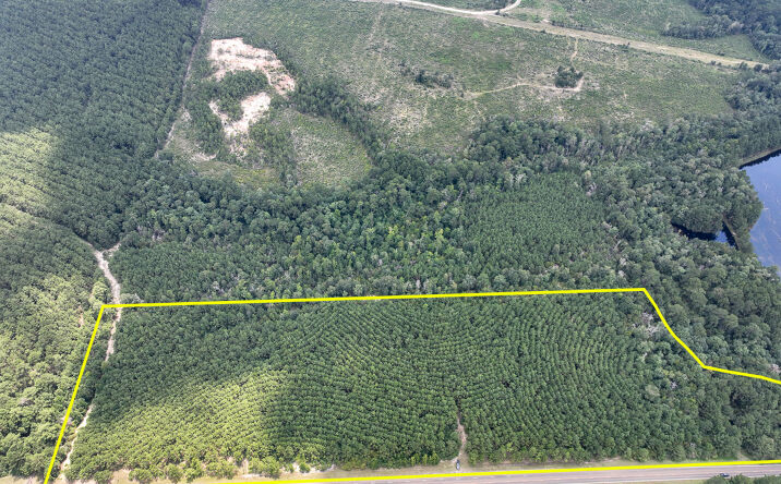 Pictures of Land property located at 6 Rec Road 255, Browndell, TX 75977 for sales - image #1
