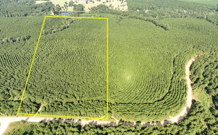 Pictures of Land property located at Shady Grove Rd T-4, Woodville, TX 75979 for sales - image #1