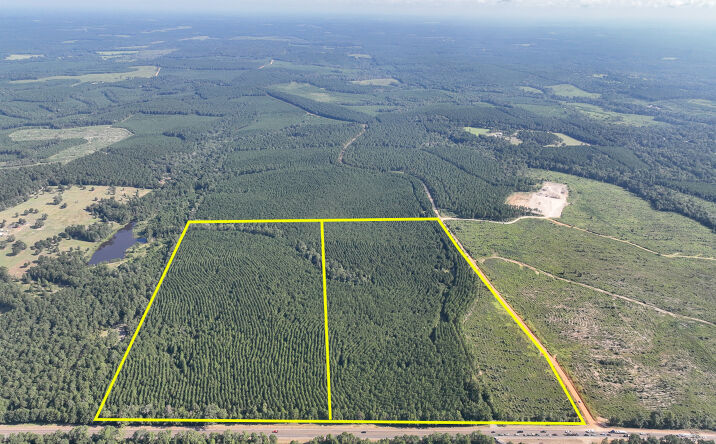 Pictures of Land property located at Hwy 190, T-5, Woodville, TX 75979 for sales - image #1