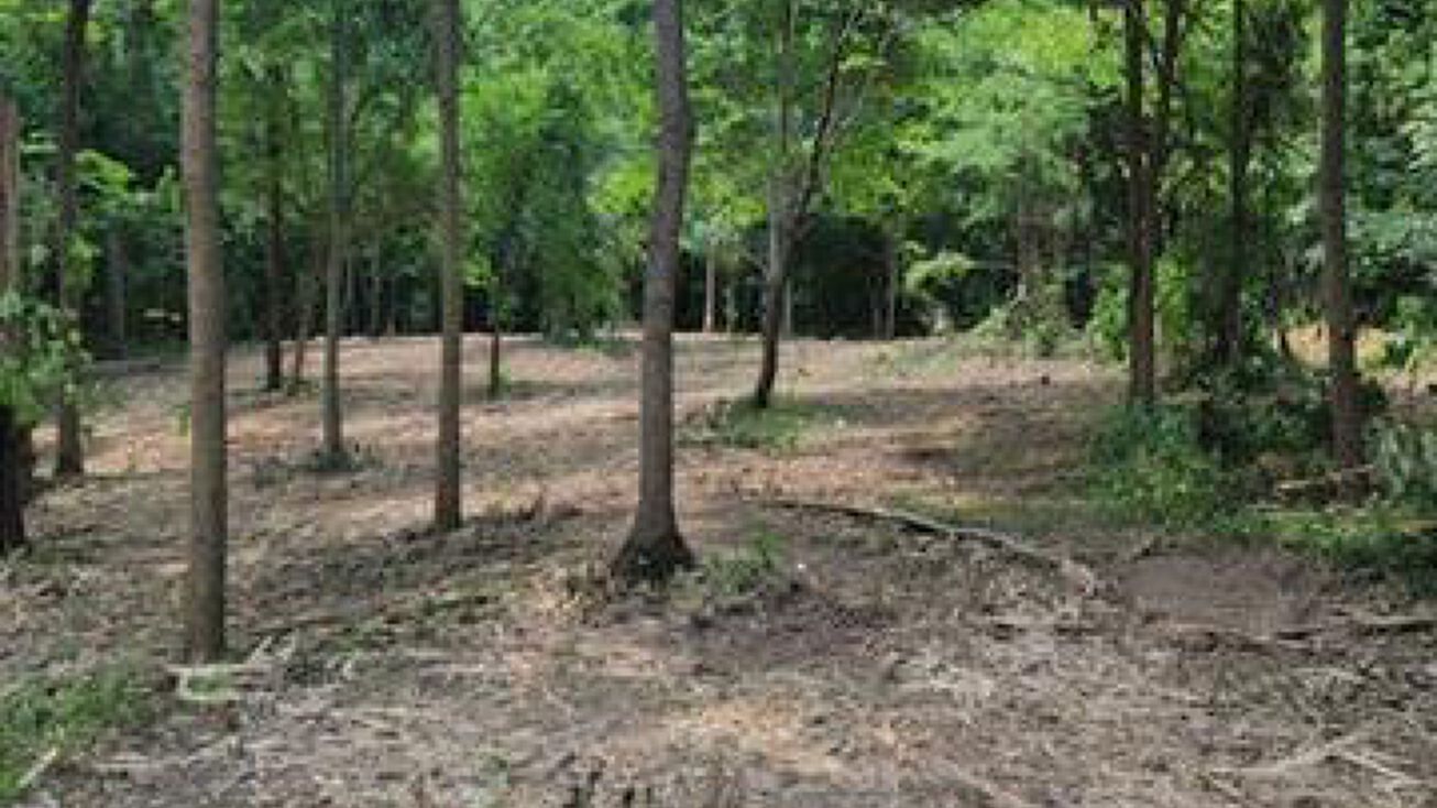 0 Dinwiddie Road, Franklin, KY 42134