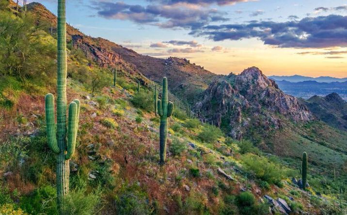 Pictures of Land property located at W/NWC La Canada Dr & Camino Casa Verde, Green Valley, AZ 85614 for sales - image #1