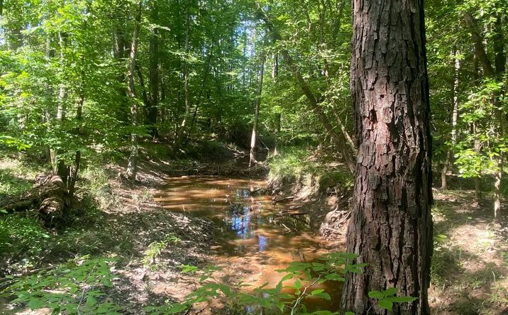 Pictures of Land property located at Hurricane Creek, Magnolia, AR 71753 for sales - image #1