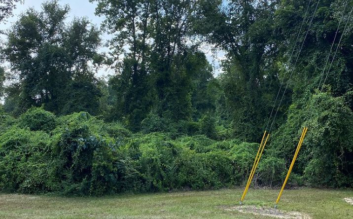 Pictures of Land property located at 223 E. Sunnybrook Rd Lot 1318, Carriere, MS 39466 for sales - image #1