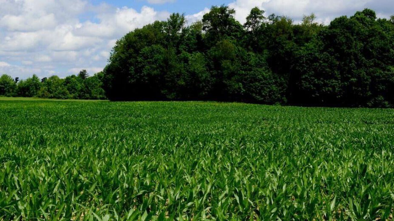 0 Bender Avenue, Galion, OH 44833