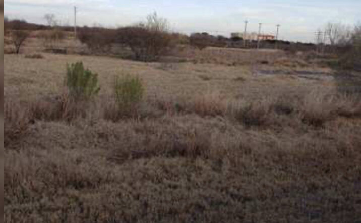 Pictures of Land property located at 0030 Park Place, Kenedy, TX 78119 for sales - image #1
