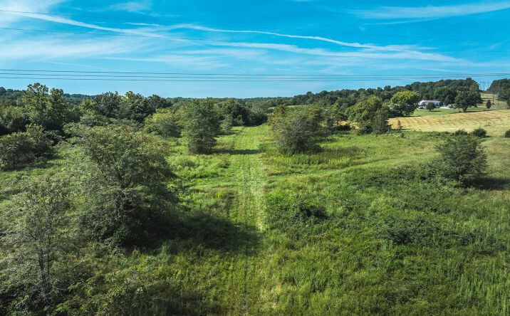 Pictures of Land property located at 000 Sapphire Drive, Laquey, MO 65583 for sales - image #1