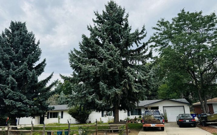 Pictures of Multifamily property located at 105 - 107 SW 49th St, Loveland, CO 80537 for sales - image #1