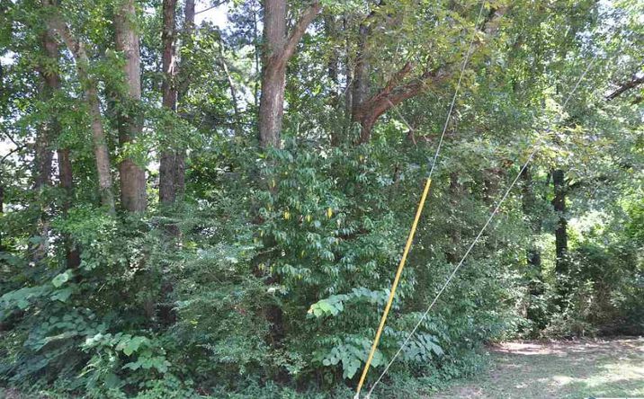 Pictures of Land property located at Lot 9-19 2nd Ave, Arab, AL 35016 for sales - image #1
