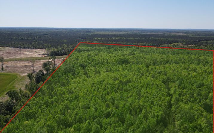 Pictures of Land property located at 0000 County Road 73, Randolph, AL 36792 for sales - image #1