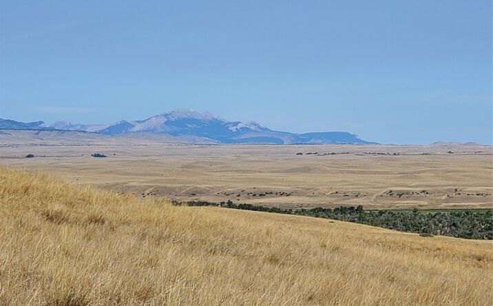 Pictures of Land property located at 7830 N Spruce Drive, Augusta, MT 59410 for sales - image #1