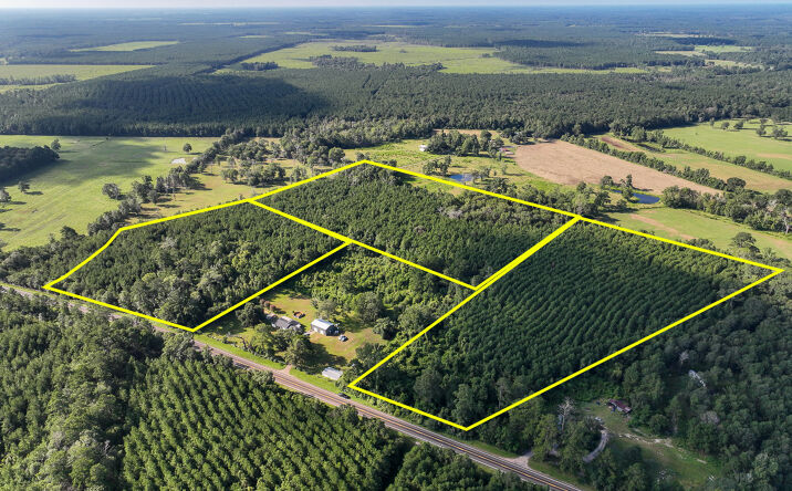 Pictures of Land property located at 4 CR 517, Mount Union, TX 75956 for sales - image #1