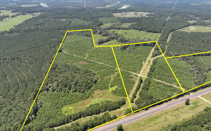 Pictures of Land property located at 05 Highway 146, Ace, TX 77351 for sales - image #1