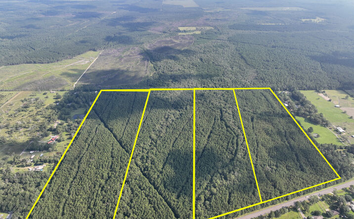 Pictures of Land property located at 02 FM 2802, Vidor, TX 77662 for sales - image #1