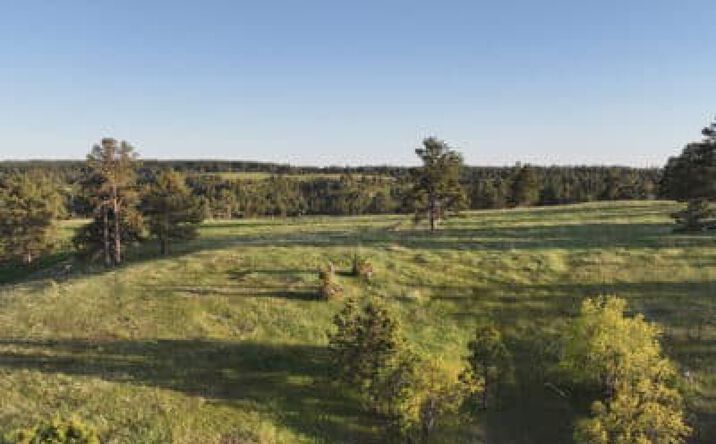 Pictures of Land property located at 100 Mule Creek Rd, Hulett, WY 82720 for sales - image #1