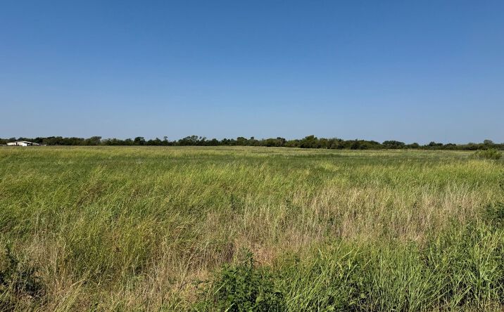Pictures of Land property located at 0000 Cr-626 Blue Ridge, Blue Ridge, TX 75424 for sales - image #1