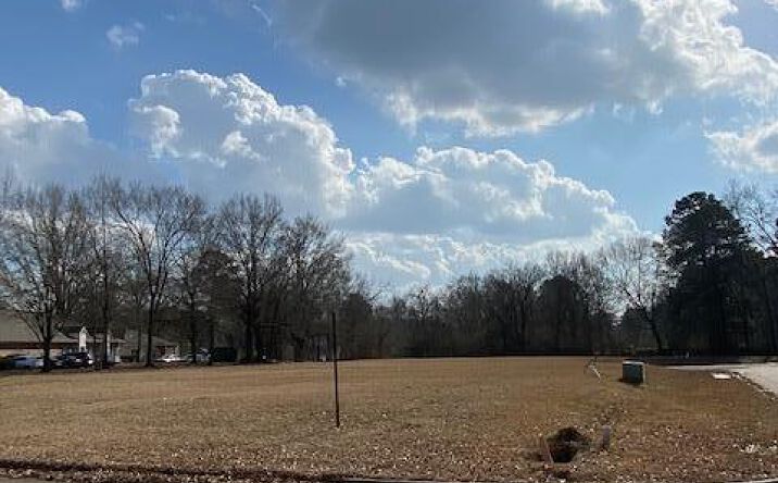 Pictures of Land property located at Ebenezer Blvd, Madison, MS 39110 for sales - image #1